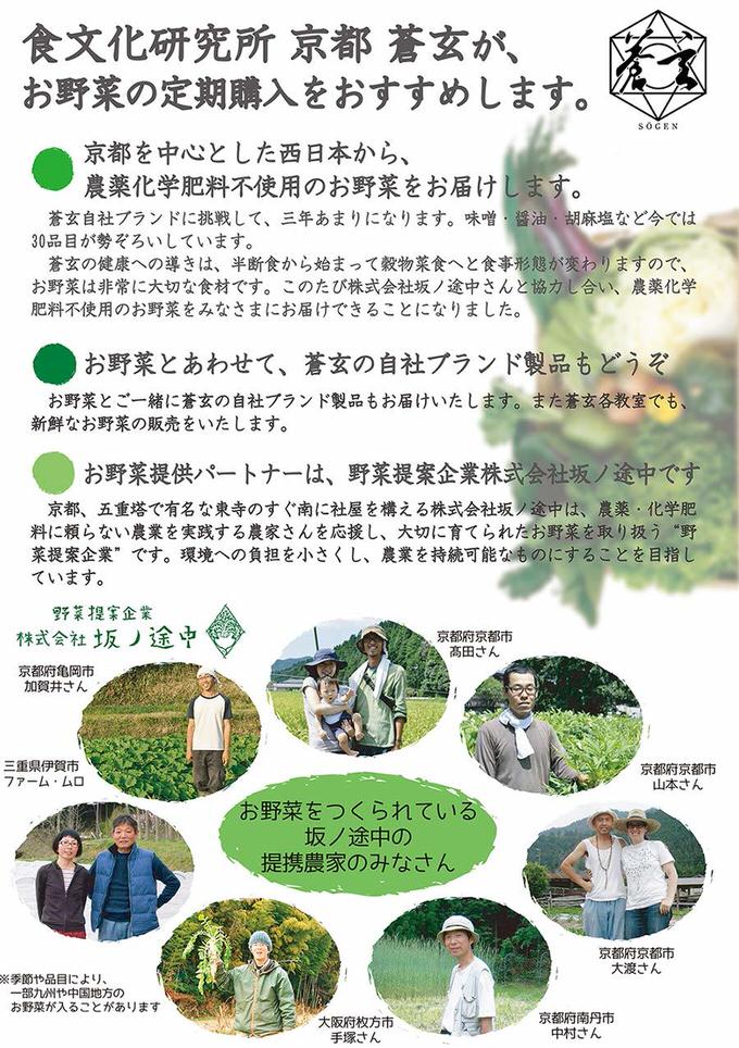 坂ノ途中　定期購入チラシ
